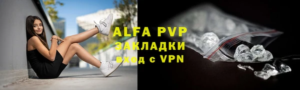 хмурый Анива