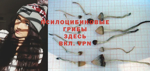 гашик Гусев