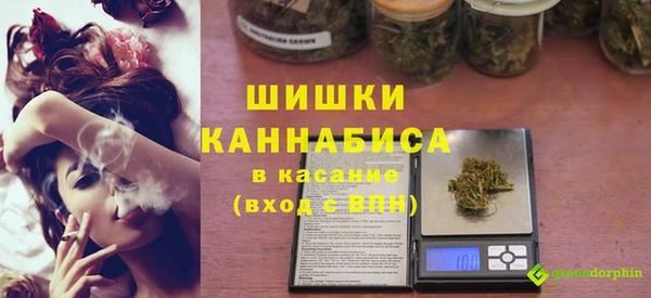 гашик Гусев