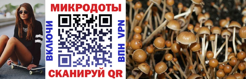 Галлюциногенные грибы GOLDEN TEACHER как найти Дмитриев