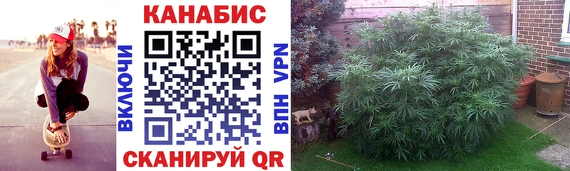 Бошки Шишки семена mega как войти Дмитриев